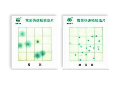 霉菌、酵母菌測(cè)試片